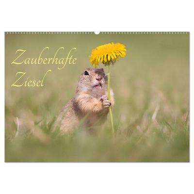 Zauberhafte Ziesel (Wandkalender 2026 DIN A2 quer), CALVENDO Monatskalender
