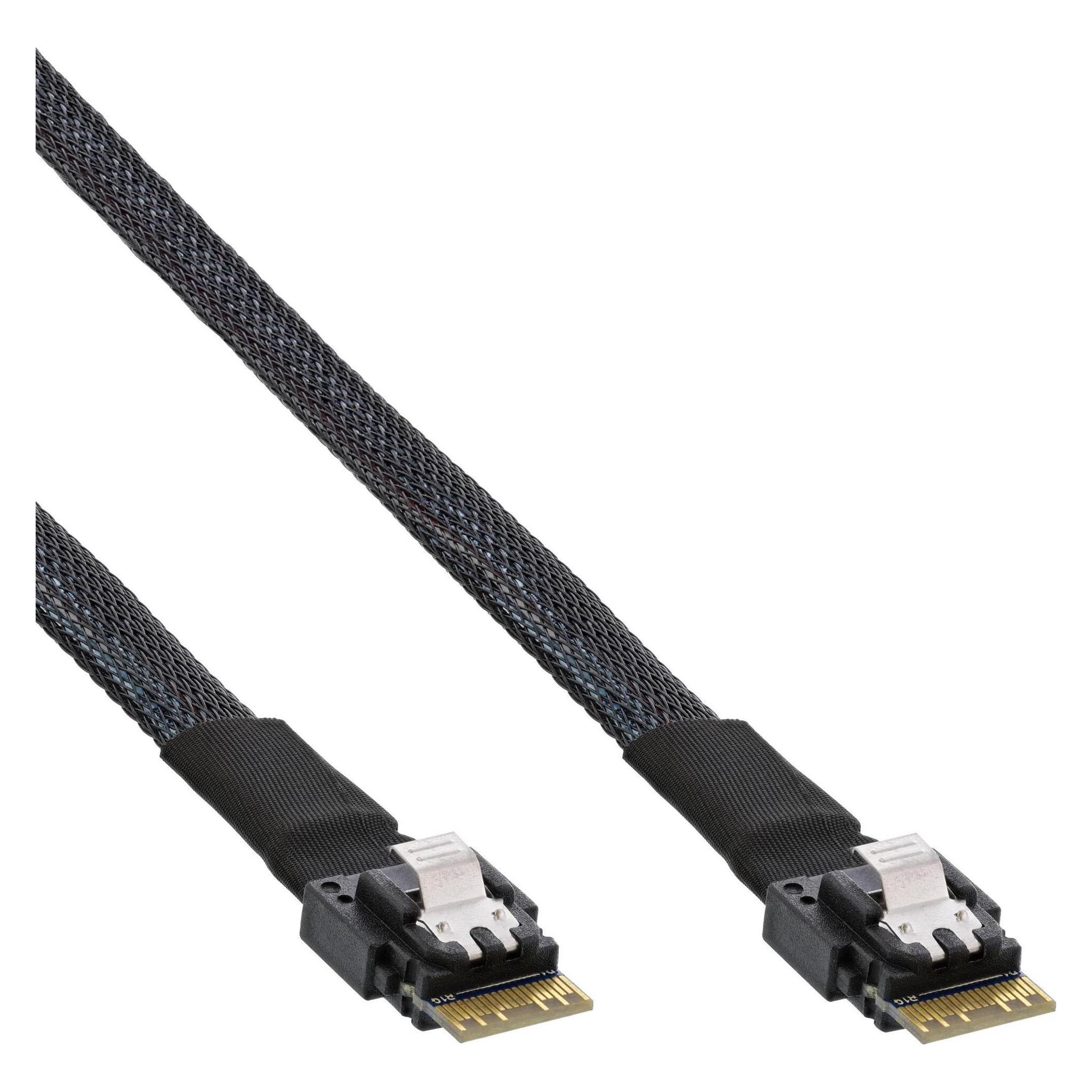 InLine Internes SAS-Kabel (100 cm, SAS) (27642B)