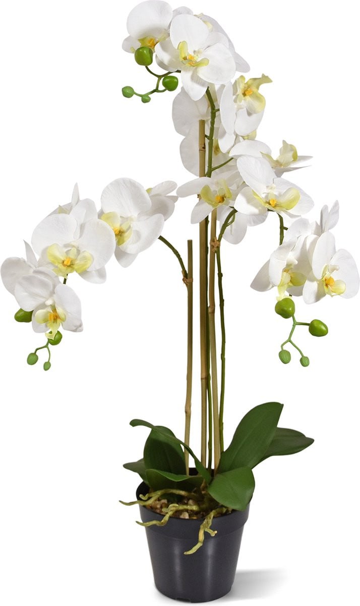 Phalaenopsis kunst orchidee wit, 75 cm