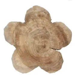 Holzblume Pappel natur Höhe 40 cm