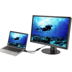 Renkforce HDMI-Stecker zu DisplayPort-Buchse, Video Adapter, Schwarz
