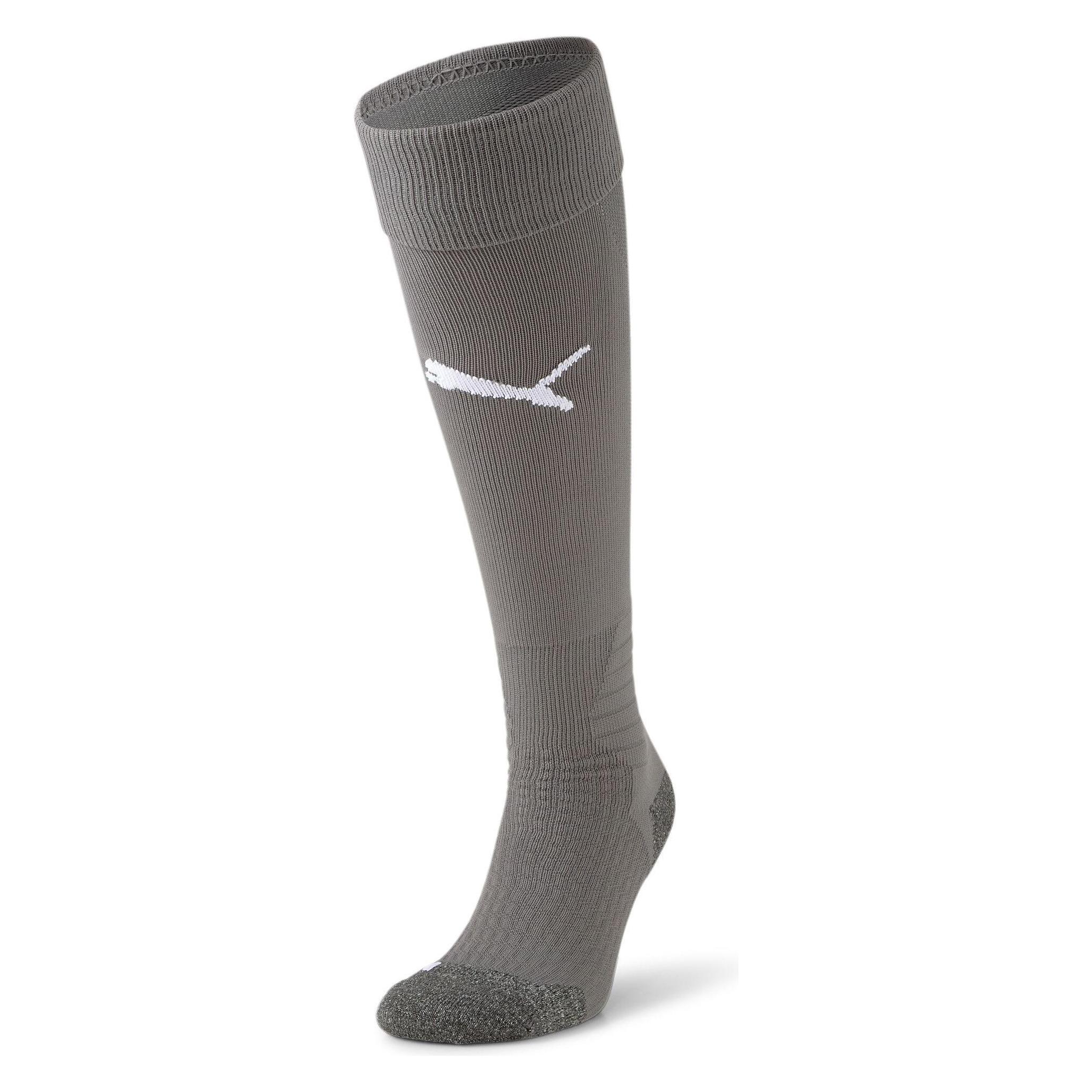 Puma Team LIGA Socks-703438 (One Size) (703438_43)