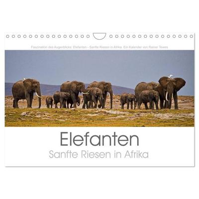 Elefanten - Sanfte Riesen in Afrika (Wandkalender 2027 DIN A4 quer), CALVENDO Monatskalender