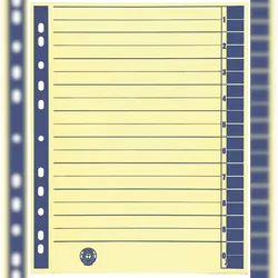 9541104100 Trennblätter - A4 Überbreite, blau, farbiger Rahmendruck, 100 Stück