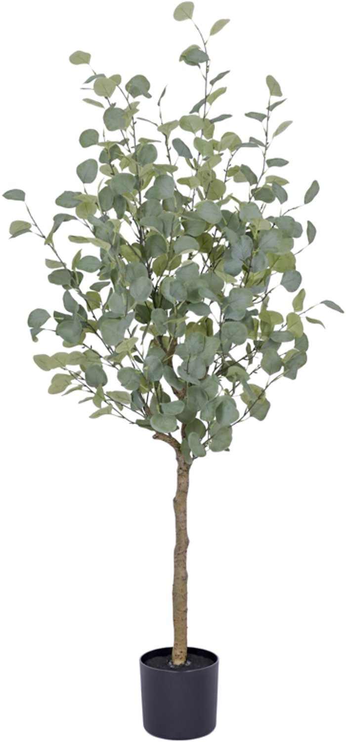 Homebound by Ky Kunstboom Eucalyptus 150 cm