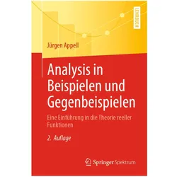 Analysis in Beispielen und Gegenbeispielen, Fachbücher von Jürgen Appell