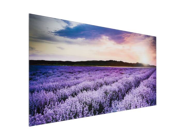 Glasbild 50x125 Lavender field
