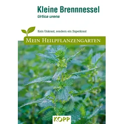 Kleine Brennnessel - Mein Heilpflanzengarten