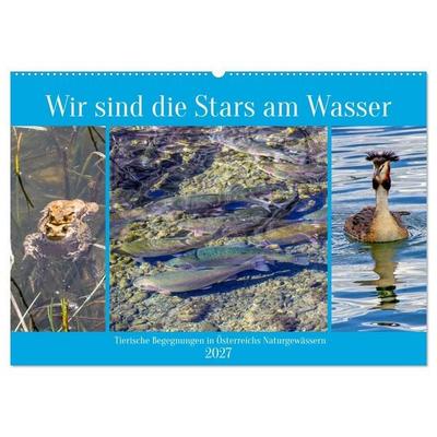 Wir sind die Stars am Wasser (Wandkalender 2027 DIN A2 quer), CALVENDO Monatskalender
