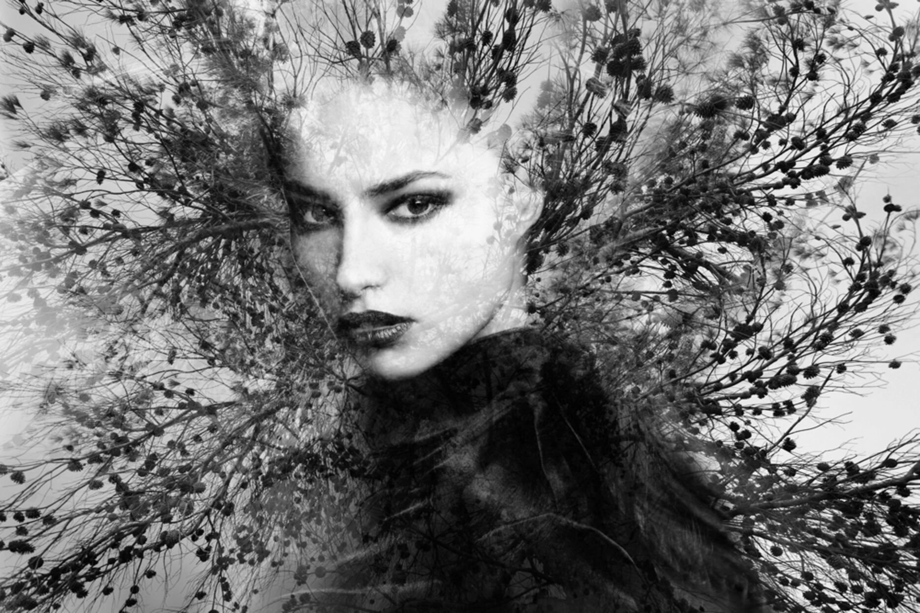 image LAND Baumfee