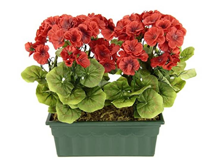 Flair Flower Künstliche Geranie im Kasten Geranienbusch Pelargonien Beetpflanze Balkonblume Seidenblumen Kunstblume Kunstpflanze Tischdeko Dekoblumen Dekopflanze, 088279R, Rot, 36x30x18 cm