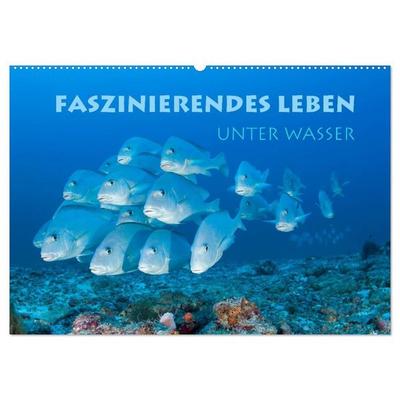 Faszinierendes Leben unter Wasser (Wandkalender 2027 DIN A2 quer), CALVENDO Monatskalender