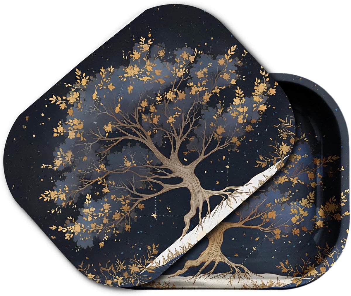 Decoratief klein metalen dienblad met magnetisch deksel voor opslag