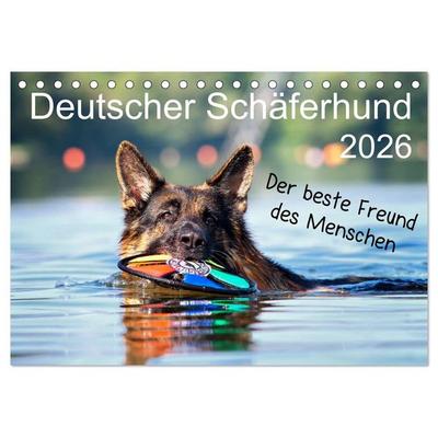 Deutscher Schäferhund - Der beste Freund des Menschen (Tischkalender 2026 DIN A5 quer), CALVENDO Monatskalender