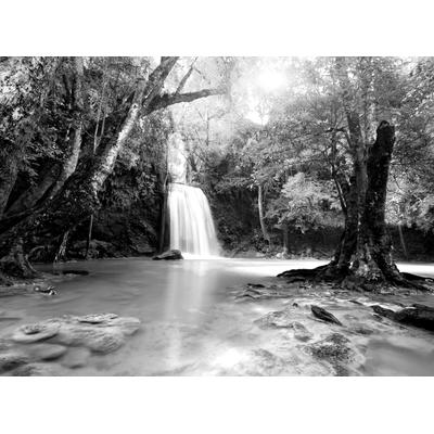 Papermoon "Wasserfall im Wald Schwarz & Weiß"