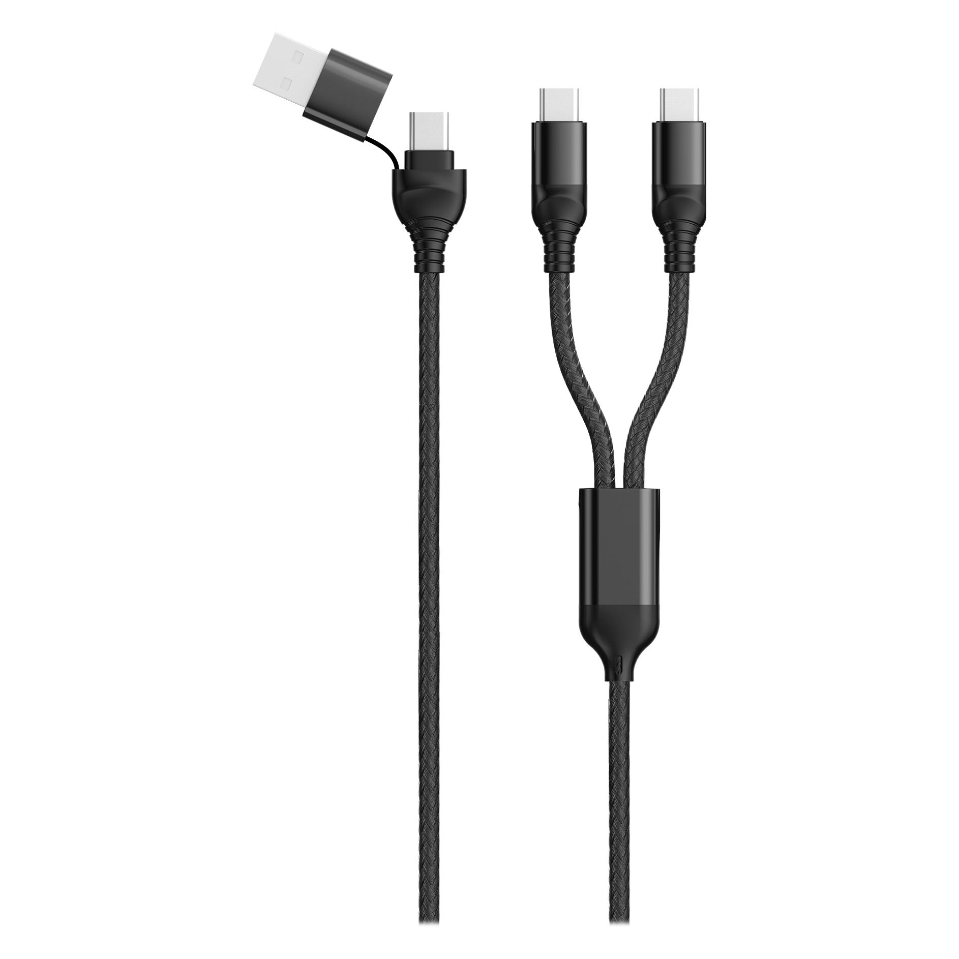 2GO USB / Type C Ladekabel DUO Type C schwarz 120cm (1.20 m) (797367)