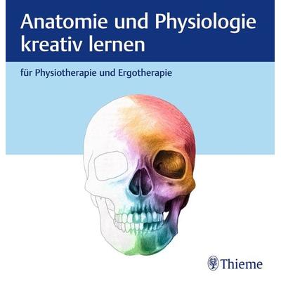 Anatomie und Physiologie kreativ lernen für Physiotherapie und Ergotherapie, Gebundene Ausgabe von , Thieme, 978-3-13-245527-6
