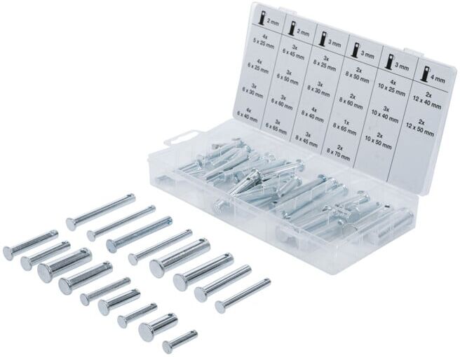 BGS Assortiment d'axes 60 pièces ; BGS technic (8137)