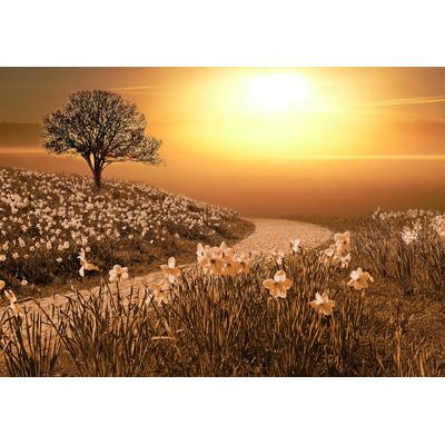 Fototapete PAPERMOON "Magische Landschaft", bunt, B:4,5m L:2,8m, Vlies, Tapeten