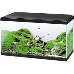 Ciao Aqua 60 SafeBox (58 l), Aquarium