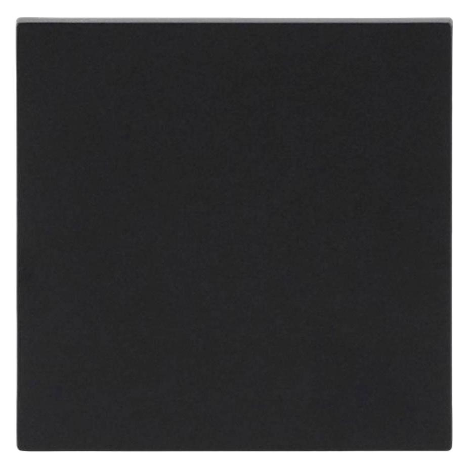 Busch-Jaeger Wippe 1-fach Smart Switch (2CKA001751A3416)