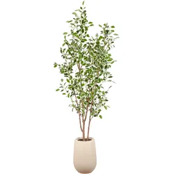 Kunstpflanze Grün/Braun/Creme