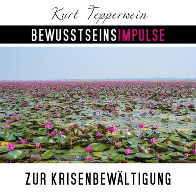 Bewusstseinsimpulse zur Krisenbewältigung - Kurt Tepperwein, Audio, 4250701997710
