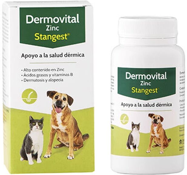Stangest Dermovital Zinc 60 Caps