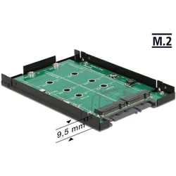 Delock Konverter, SSD + Festplatte Zubehör
