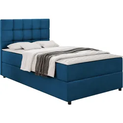 BOXBETT Lind - H3
