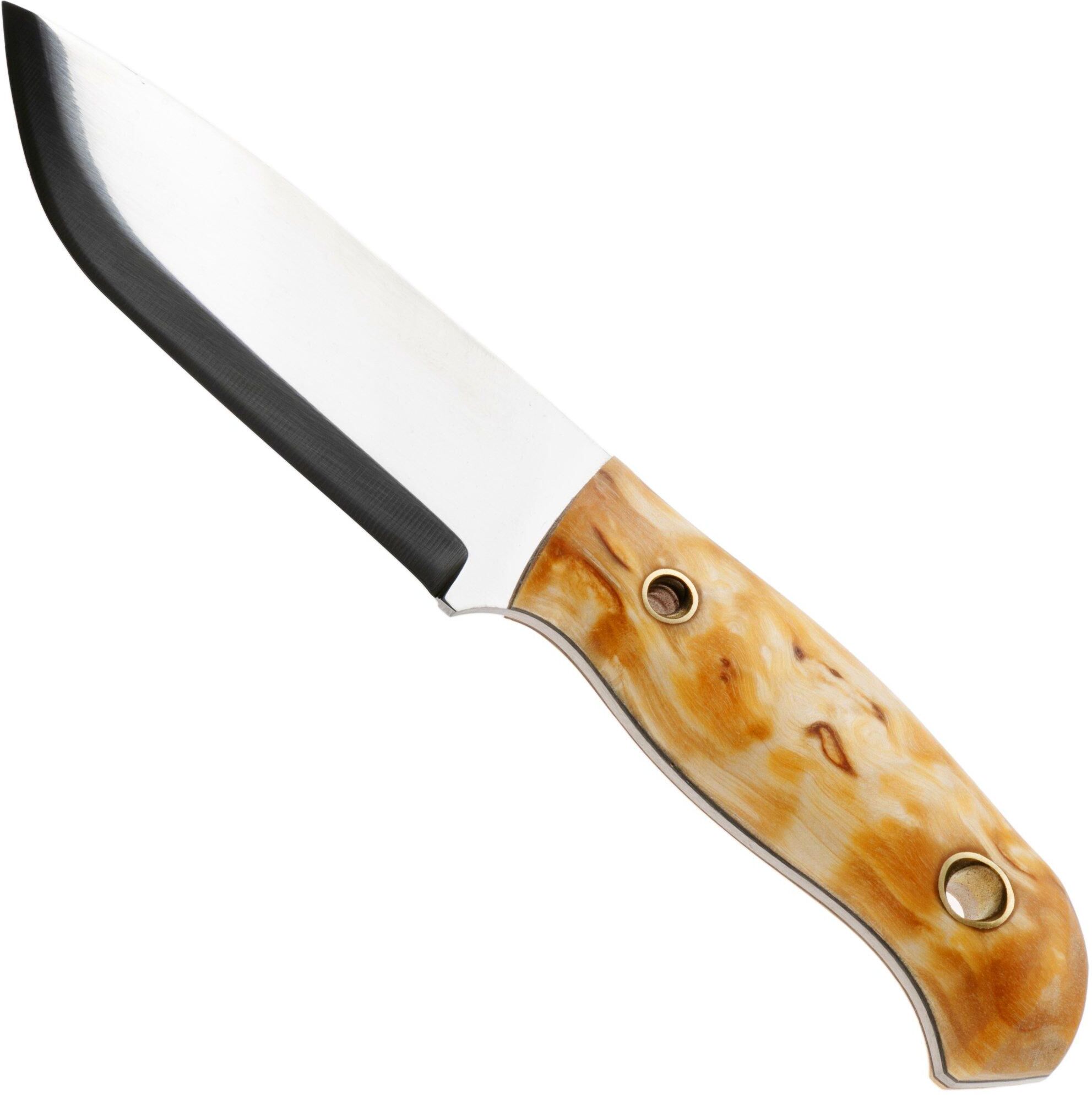 Helle Polaris 200675, Satin 14C28N, Curly Birch coltello bushcraft