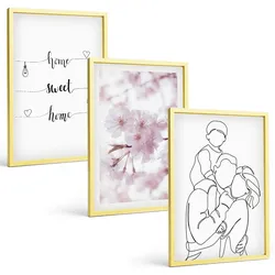 BILDER SET 3er Set - 40x60 cm Goldrahmen - Blumenfamilie minimalistisch