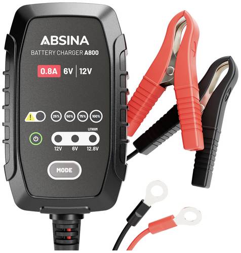 Hückmann Ladegerät A800 A800