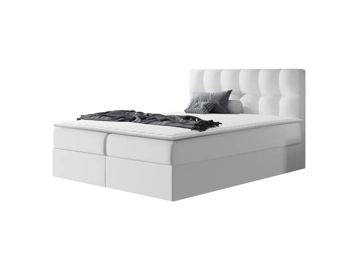 BOXBETT Rico - H3