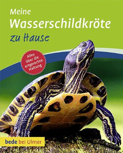 Tina Gorf - Meine Wasserschildkröte zu Hause - Preis vom 04.10.2026 03:51:26 h