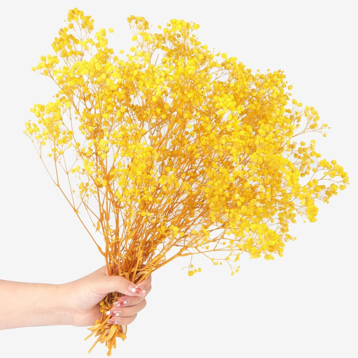 Gedroogde Gypsophila (Sluierkruid) - 70g Natuurlijke Witte Bloemen voor Decoratie - Hoogte: 40 cm