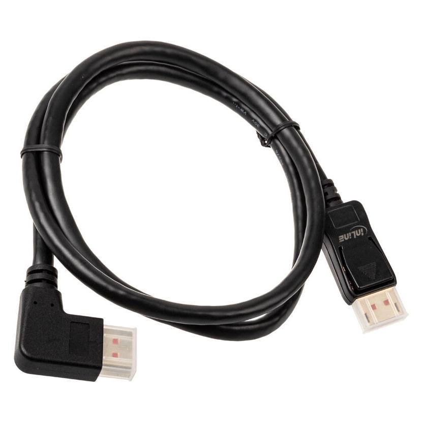 InLine DisplayPort - DisplayPort (1 m) (17151R)