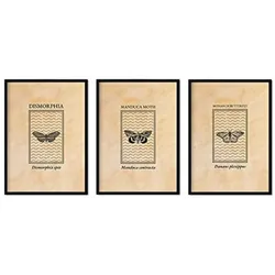 POSTER Set Mit 3 Insekten Blätter A4 Rahmenlos