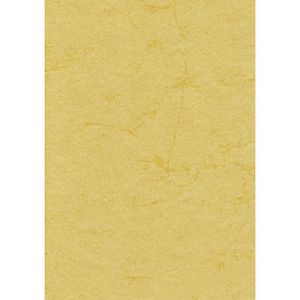 Römerturm Briefpapier 88001577, chamois, A4, Elefantenhaut, 110 g/m², 100 Blatt