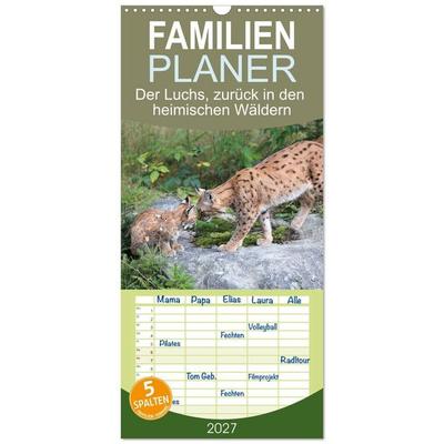 Familienplaner 2027 - Der Luchs, zurück in den heimischen Wäldern mit 5 Spalten (Wandkalender, 21 x 45 cm) CALVENDO