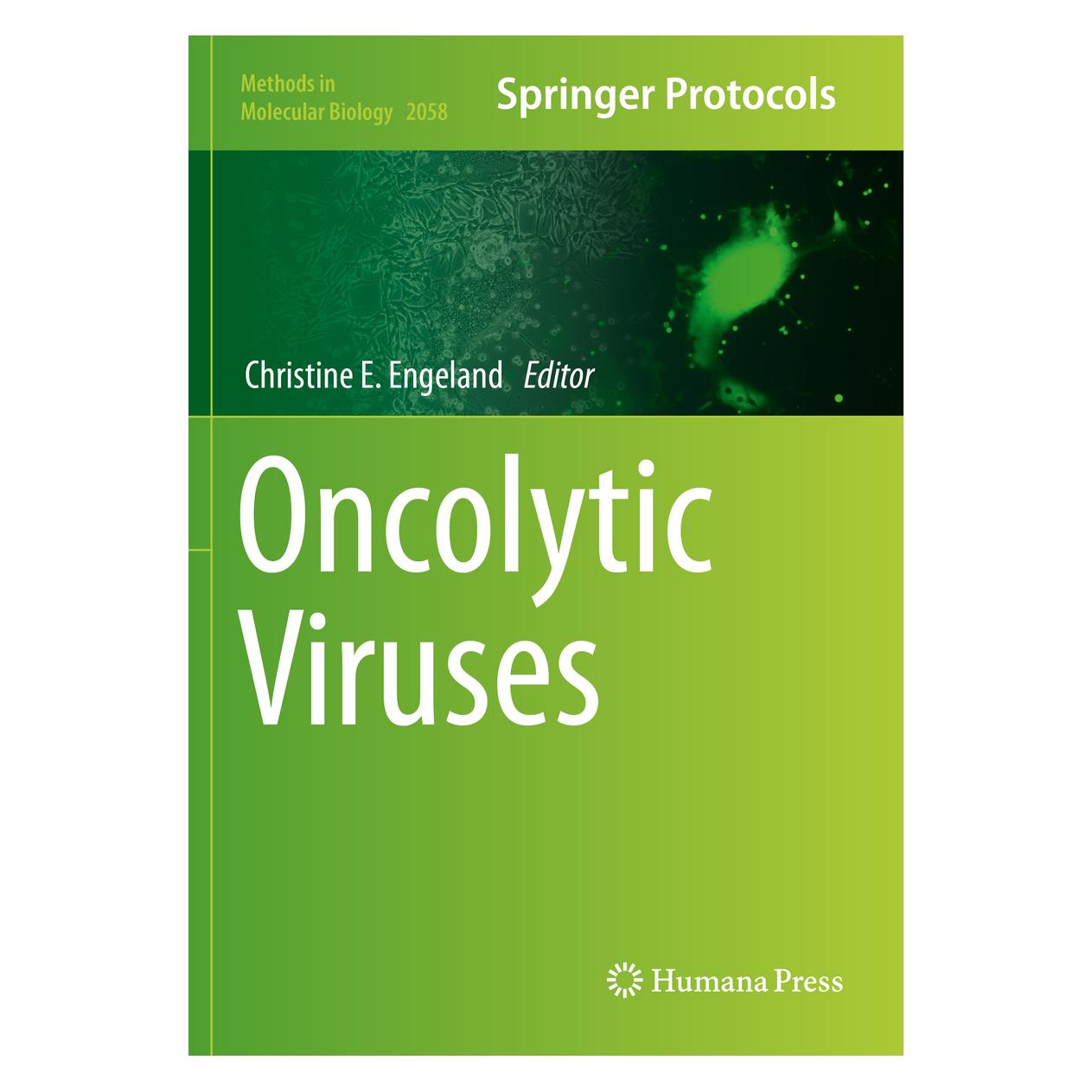 Springer Oncolytic Viruses (Englisch, Softcover, Christine E. Engeland) (56160424)