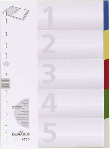 Durable 6730 Register DIN A4 blanko Polypropylen Mehrfarbig 5 Registerblätter 673027