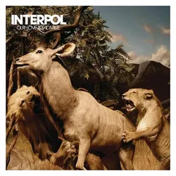 Indigo Press, Schallplatten, Our Love To Admire (Interpol)