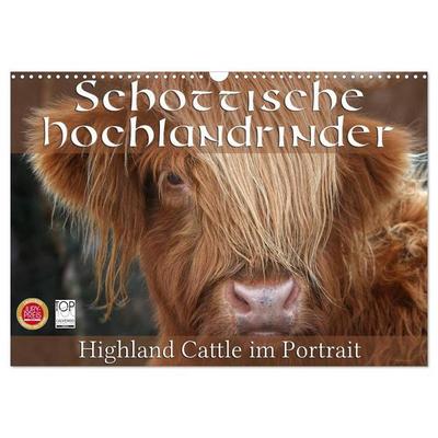 Schottische Hochlandrinder - Highland Cattle im Portrait (Wandkalender 2027 DIN A3 quer), CALVENDO Monatskalender