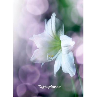 Tagesplaner undatiert A5 für Gestresste, Taschenbuch von Angelina Schulze, Angelina Schulze Verlag, 978-3-96738-097-2