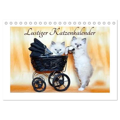 Lustiger Katzenkalender (Tischkalender 2027 DIN A5 quer), CALVENDO Monatskalender