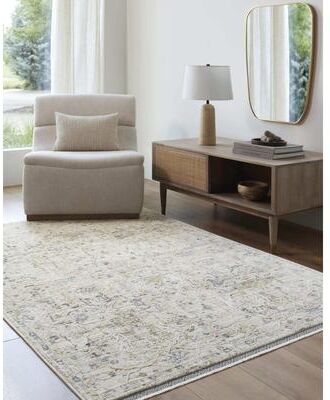 Livabliss Rivaldo Traditional Distressed Oriental Area Rug