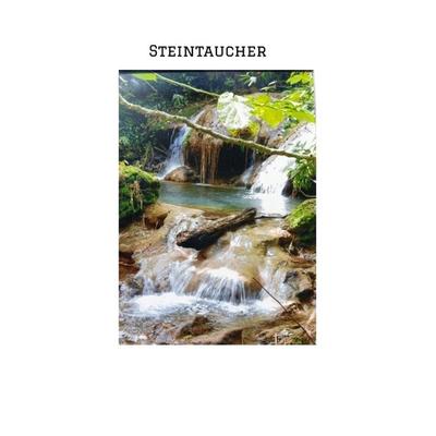 'STEINTAUCHER ' Liebesdurstige Beobachtungen eines in die Jahre gekommenen Mannes. Gerade so,als hätte da jemand noch einmal seine Träume an das