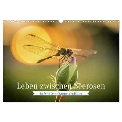 Leben zwischen Seerosen (Wandkalender 2027 DIN A3 quer), CALVENDO Monatskalender