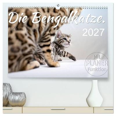 Die Bengalkatze. Edition Jungtiere (hochwertiger Premium Wandkalender 2027 DIN A2 quer), Kunstdruck in Hochglanz
